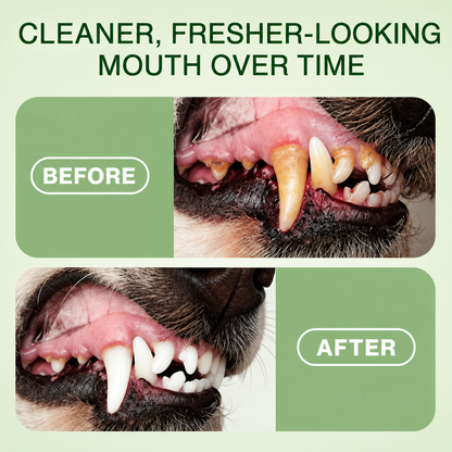 🦷 Starpositive™ Pet Oral Spray
